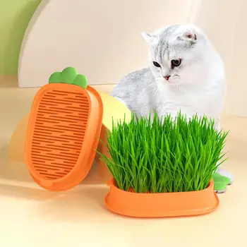 Экологичный ящик для кошачьей травы, шасси большой емкости, гидропоника без почвы, не содержит BPA, домашний горшок для кошачьих растений.